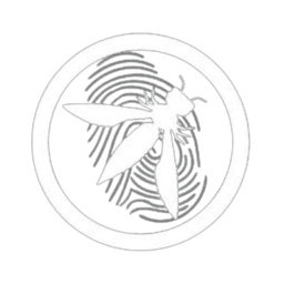OWASP PCCOE Logo