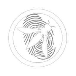 OWASP PCCOE Logo
